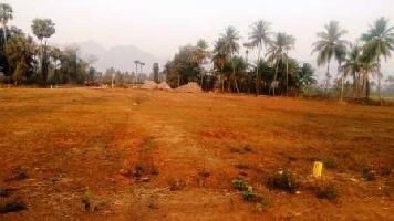  Agricultural Land for Sale in Palamaneru, Chittoor