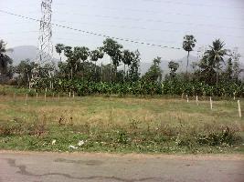 Agricultural Land for Sale in Vepagunta, Visakhapatnam