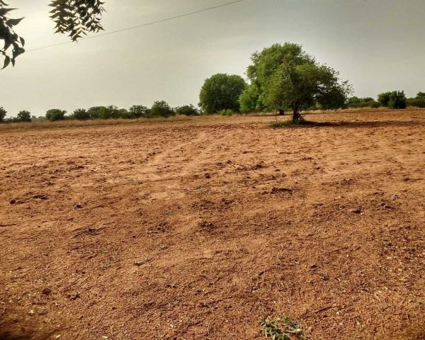  Agricultural Land 4500 Sq.ft. for Sale in Focal Point, Dera Bassi