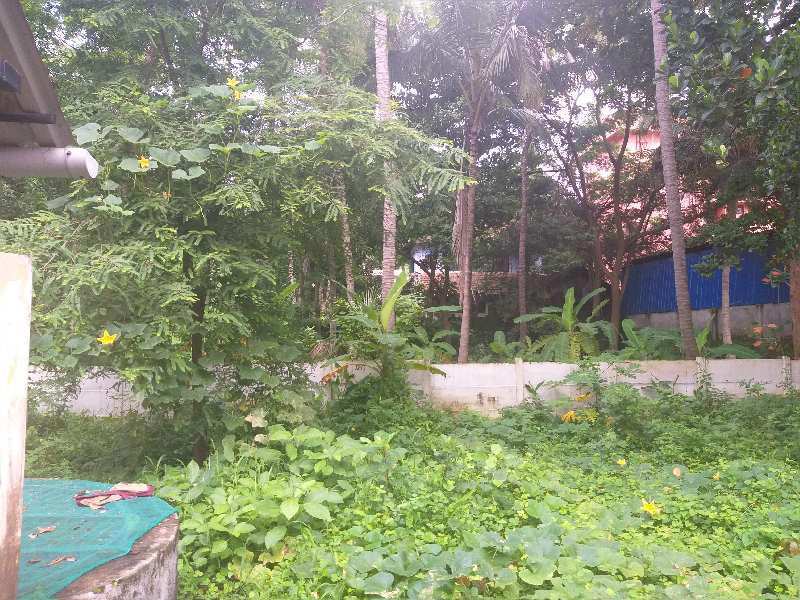 Residential Plot 15 Cent for Sale in Manapullikavu, Palakkad