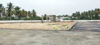  Residential Plot for Sale in Mahalingapuram, Pollachi, Coimbatore