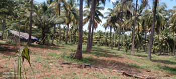 1 BHK Farm House for Sale in Pollachi, Coimbatore