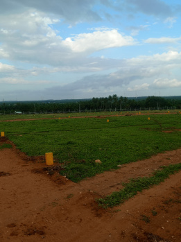  Residential Plot for Sale in Mettupalayam Coimbatore