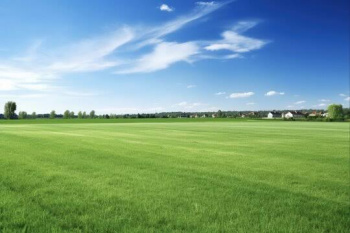  Residential Plot for Sale in Karamadai, Coimbatore