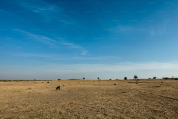  Residential Plot for Sale in Race Course, Coimbatore