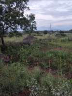  Agricultural Land for Sale in Karamadai, Coimbatore