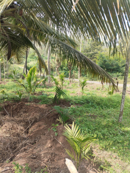 Agricultural Land for Sale in Agali, Palakkad