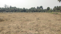  Agricultural Land for Sale in Bagalur Road, Hosur