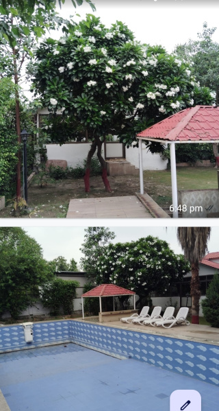 2.5 BHK 1008 Sq.ft. Farm House for Sale in Sector 135 Noida