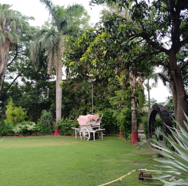 1 RK 1008 Bigha Farm House for Sale in Bilaspur Gautam, Gautam Buddha Nagar