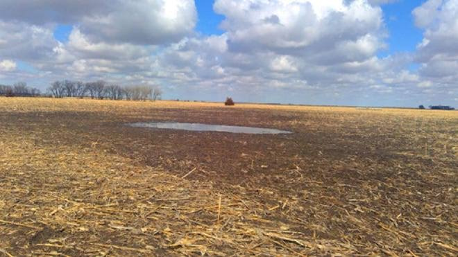  435604 Acre Agricultural/Farm Land for Sale in Maheshwar Mandal, Hyderabad