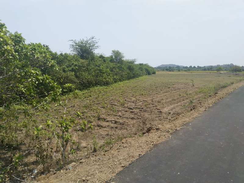 Agricultural Land 82 Cent for Sale in Acharapakkam, Kanchipuram