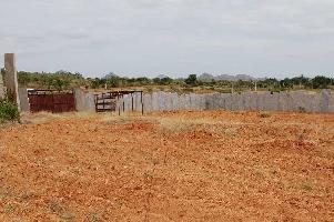  Agricultural Land for Sale in Koratagere, Tumkur
