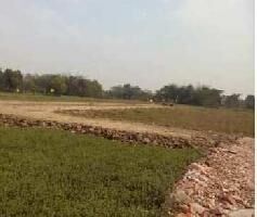  Residential Plot for Sale in Amtala, Kolkata