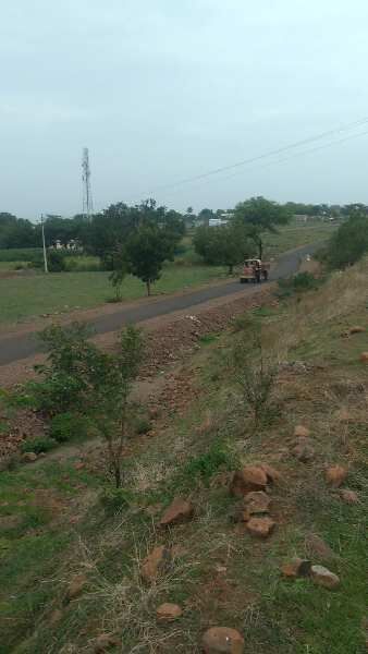  Agricultural Land 15 Acre for Sale in Pandharpur, Solapur