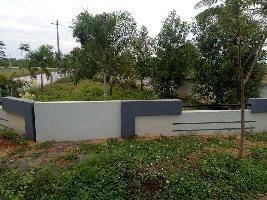  Residential Plot for Sale in Polipalli, Visakhapatnam