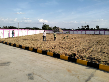  Residential Plot for Sale in Fathima Nagar, Tiruchirappalli