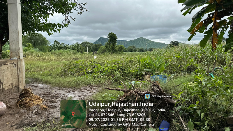  Agricultural Land 11115 Sq.ft. for Sale in Barodiya, Udaipur