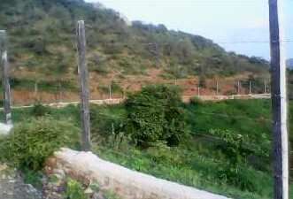  Agricultural Land 90000 Sq.ft. for Sale in Badi, Udaipur