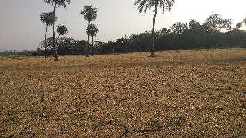  Residential Plot for Sale in Patia, Bhubaneswar