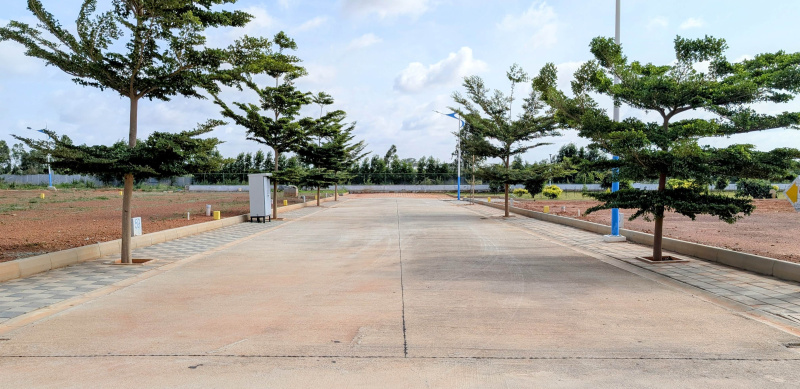  2400 Sq.ft. Residential Plot for Sale in Budigere Cross, Bangalore