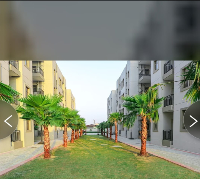 2 BHK Apartment 577 Sq.ft. for Rent in Sector 107 Gurgaon