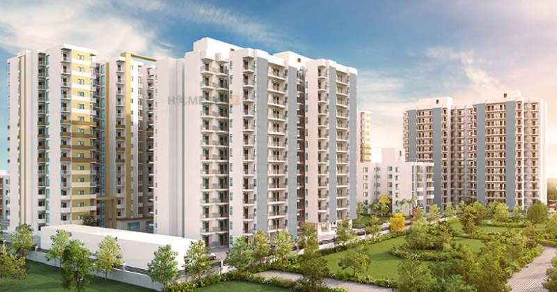 3 BHK Apartment 750 Sq.ft. for Rent in Sector 107 Gurgaon