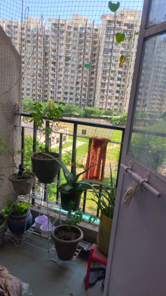 2 BHK Apartment 487 Sq.ft. for Sale in Dwarka Expressway, Dwarka Expressway, Gurgaon