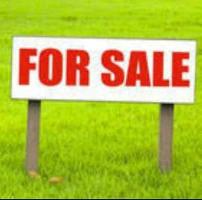  Agricultural Land for Sale in Bhagwanpur, Haridwar