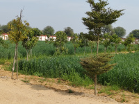  Residential Plot for Sale in Ajmer Road, Jaipur