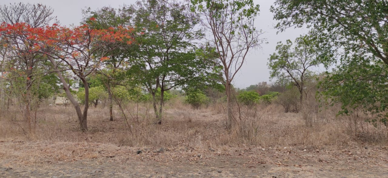  20000 Sq.ft. Commercial Land for Rent in DP Road, Pune