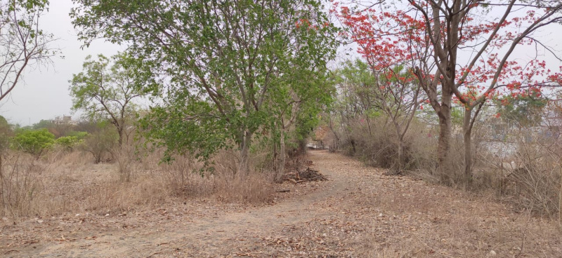  10000 Sq.ft. Commercial Land for Rent in Wakad, Pune