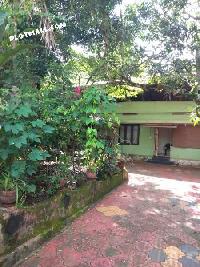  Residential Plot for Sale in Mulavana, Kollam