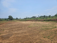  Agricultural Land for Sale in Denkanikottai, Krishnagiri