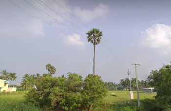  Agricultural Land for Sale in Puliyur, Karur