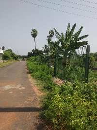  Agricultural Land for Sale in Reddiyarchatram, Dindigul