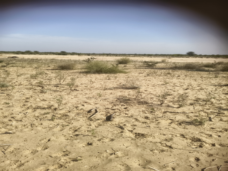  111 Sq. Yards Residential Plot for Sale in Prithviraj Nagar, Ajmer