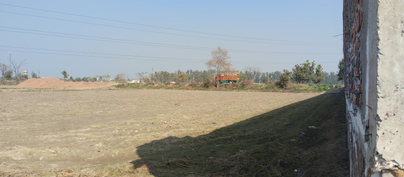  4 Acre Agricultural/Farm Land for Sale in Bagru, Sonipat