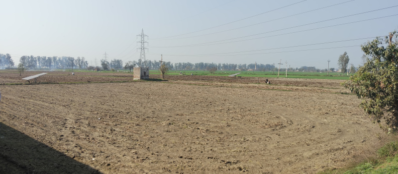  4 Acre Agricultural/Farm Land for Sale in Bagru, Sonipat