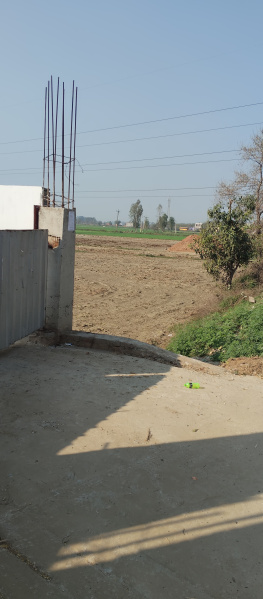  4 Acre Agricultural/Farm Land for Sale in Bagru, Sonipat