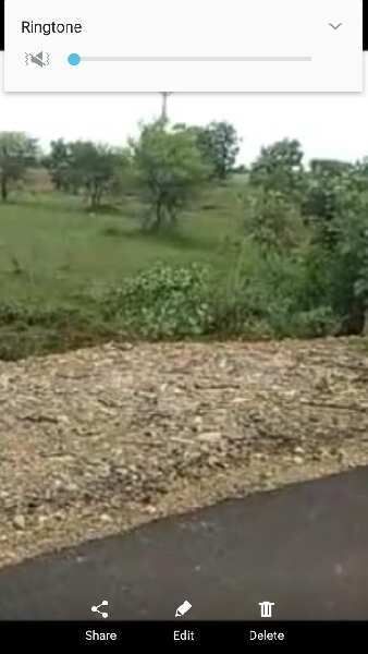  Agricultural Land 215 Acre for Sale in Bhainsa, Nirmal