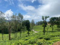 3.5 BHK Villa for Sale in Ketti, Ooty