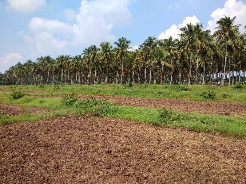 Agricultural Land 33 Acre for Sale in