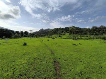  Agricultural Land for Sale in Pen, Raigad