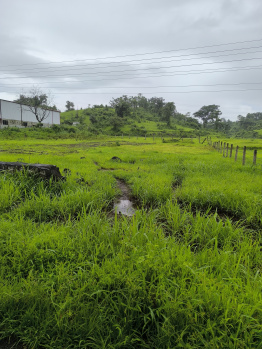  Residential Plot for Sale in Pen, Raigad