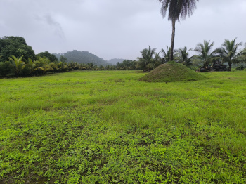  Residential Plot for Sale in Chirle, Navi Mumbai