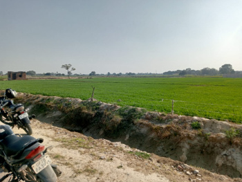  Agricultural Land for Sale in Bhimsen, Kanpur