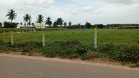Agricultural Land for Sale in Hoskote, Bangalore