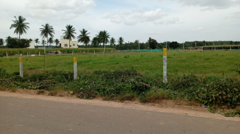 Agricultural Land for Sale in Hoskote, Bangalore