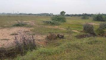  Agricultural Land for Sale in Dabaspete, Bangalore